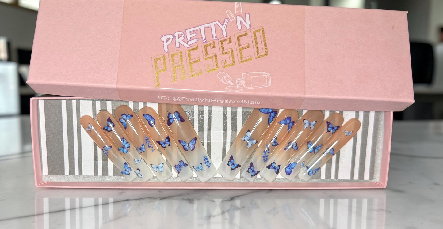 Butterfly Ombre